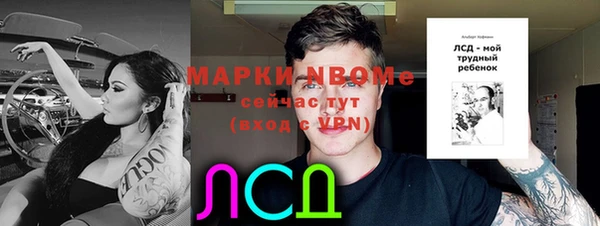 ПСИЛОЦИБИНОВЫЕ ГРИБЫ Богданович