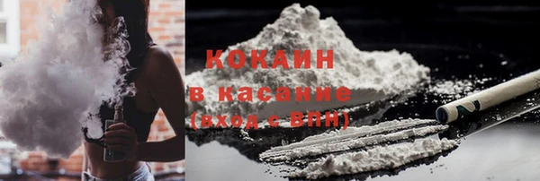 ПСИЛОЦИБИНОВЫЕ ГРИБЫ Богданович