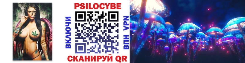 Купить закладки  Верхняя Тура  Псилоцибиновые грибы GOLDEN TEACHER 